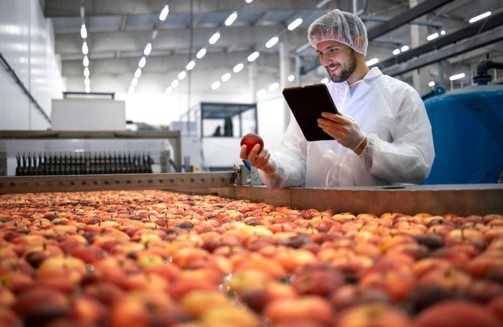 secteur-agroalimentaire