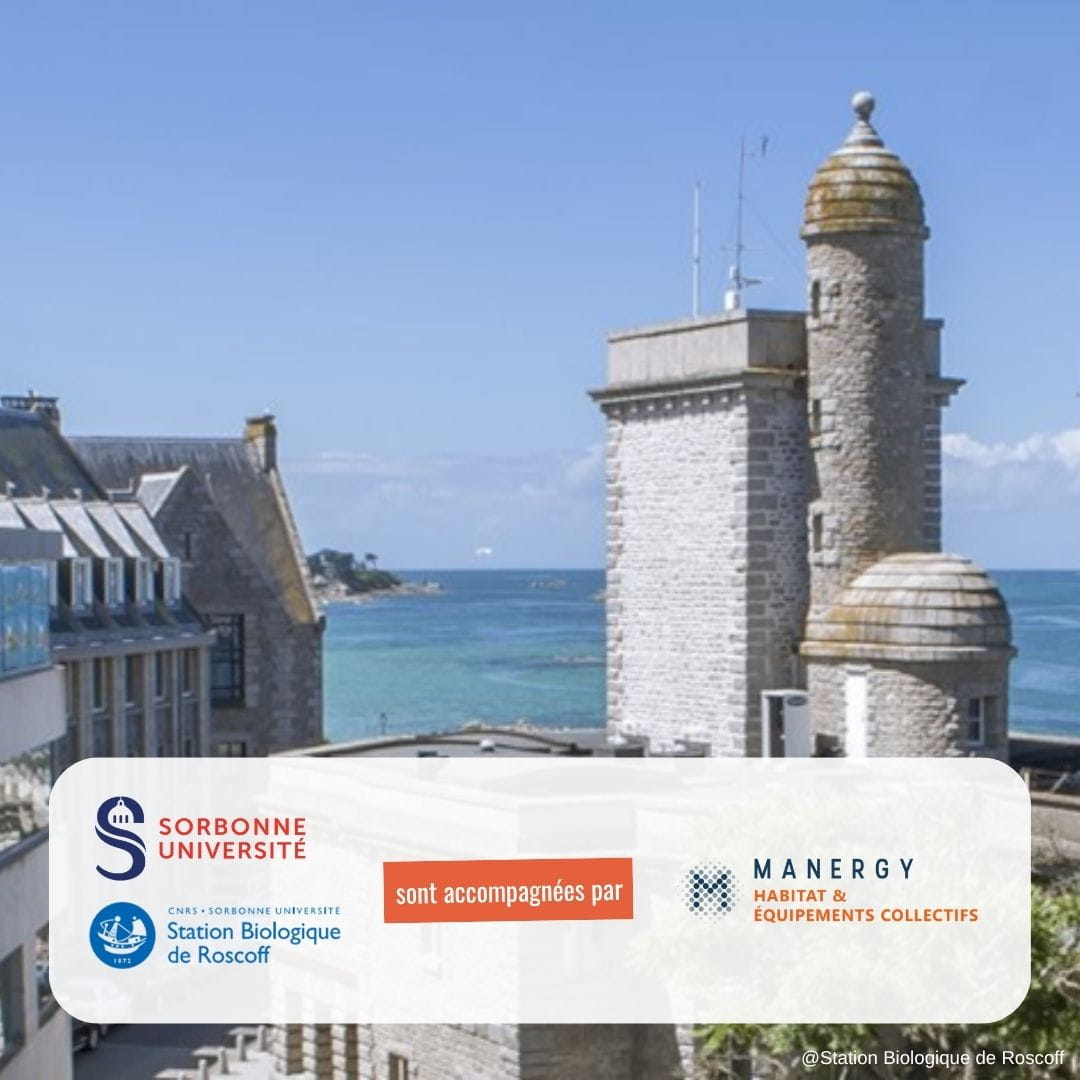 flash-info-mars-2026-universite-sorbonne