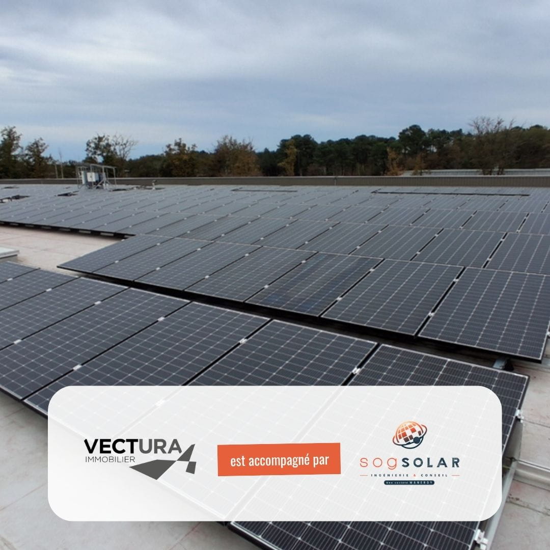 flash-info-mars-2026-vectura